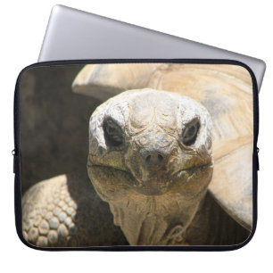 Cool Turtle Laptop Sleeve! Sleeve
