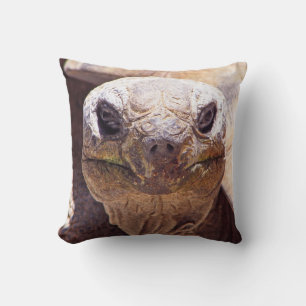 Cool Turtle Pillow! Cushion