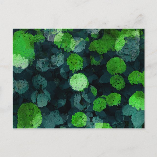Cool, unique art of floral / flower pattern postcard (Front)