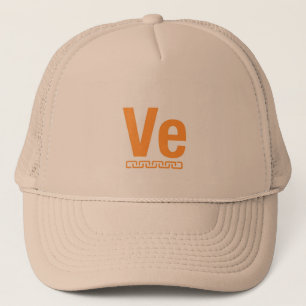Cool Veritaseum Cryptocurrency Coin Sign Trucker Hat
