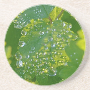 Cool Waterdrops On Green Leaf Coaster