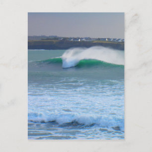 Cool Waves Postcard