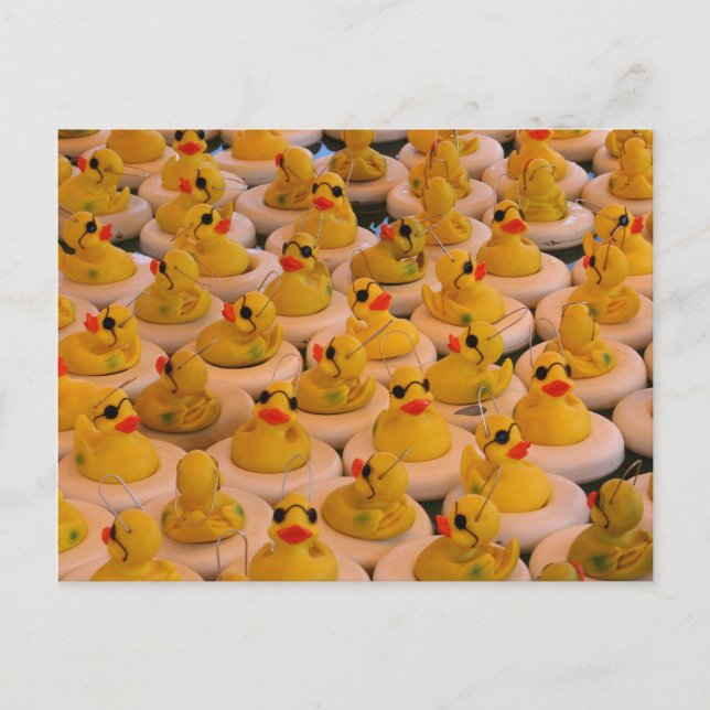 Cool Yellow Rubber Ducks Photo Funny Postcard (Front)