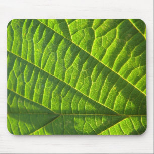 Cooles grünes Blattmuster Mouse Pad