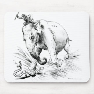Coolidge-Radicals Mouse Pad