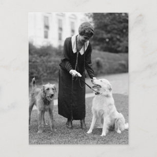 Coolidge & The Gang: 1924 Postcard