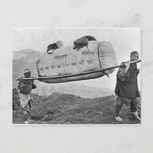 Coolies carrying cotton, 1901 (b/w photo) postcard