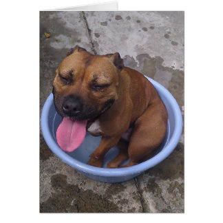 Cooling off on a hot day!