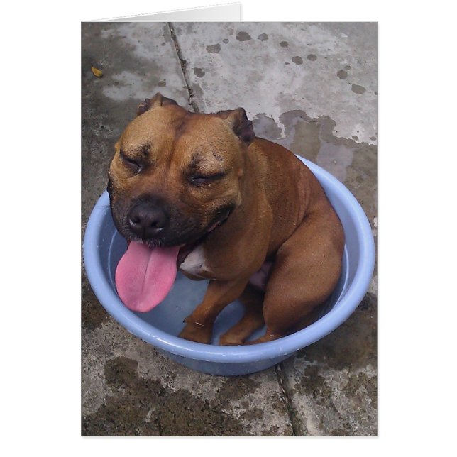 Cooling off on a hot day! (Front)