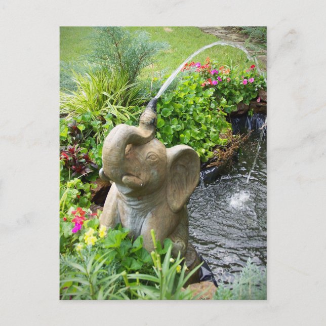 Cooling Off Postcard (Front)