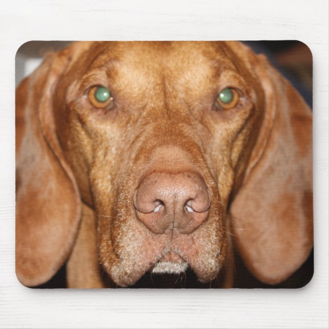 Coon Hound Mouse Pad (Front)