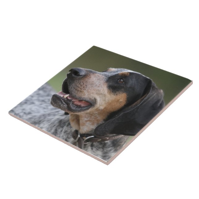 Coonhound Ceramic Tile (Side)