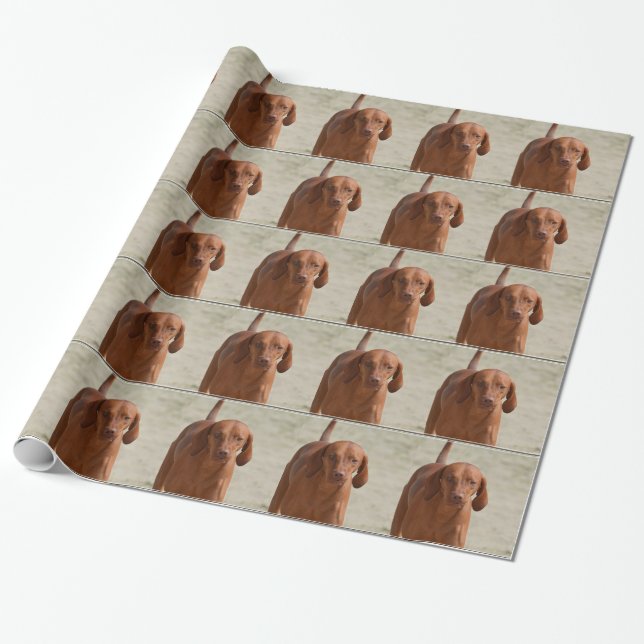 Coonhound Wrapping Paper (Unrolled)