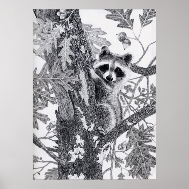 Coonie Poster (Front)