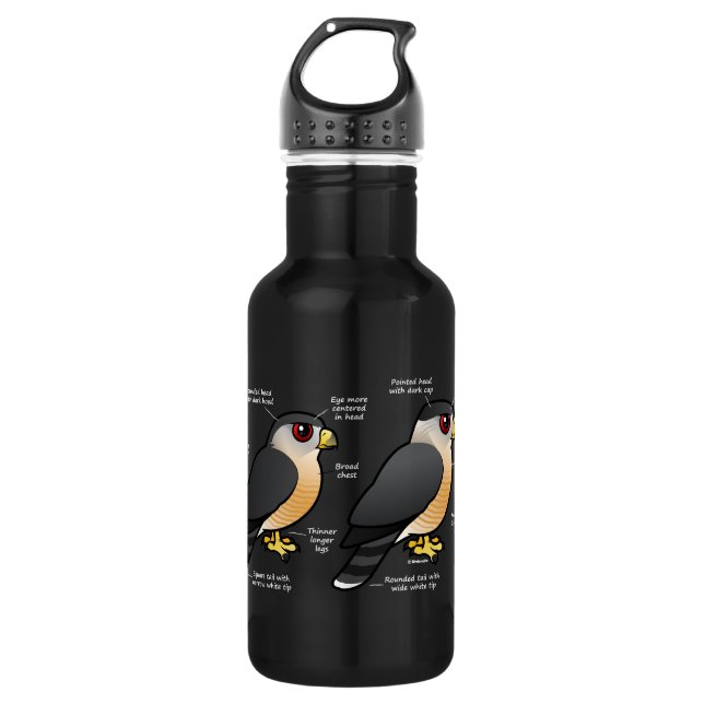 Coop v Sharpie 532 Ml Water Bottle (Front)
