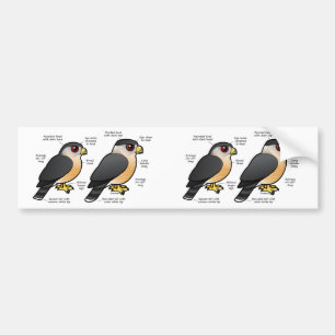Coop v Sharpie Bumper Sticker