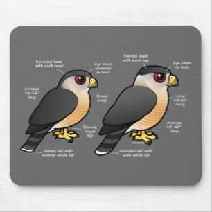 Coop v Sharpie Mouse Pad