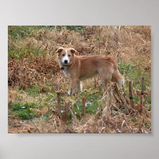 Cooper Poster (Front)