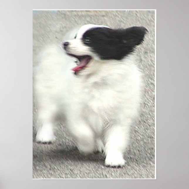 COOPER POSTER (Front)