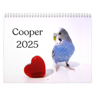 Cooper the Budgie 2025 Calendar