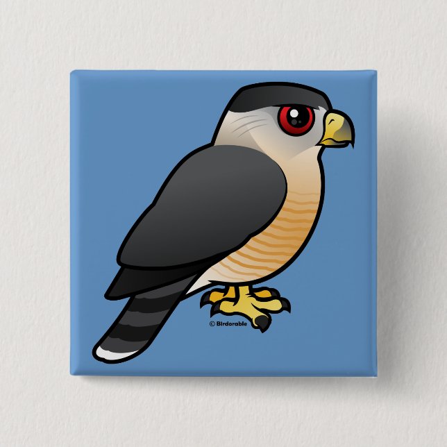 Cooper's Hawk 15 Cm Square Badge (Front)