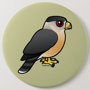 Cooper's Hawk 6 Cm Round Badge