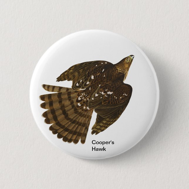 Cooper's Hawk by John James Audubon, Hawk Bird 6 Cm Round Badge (Front)