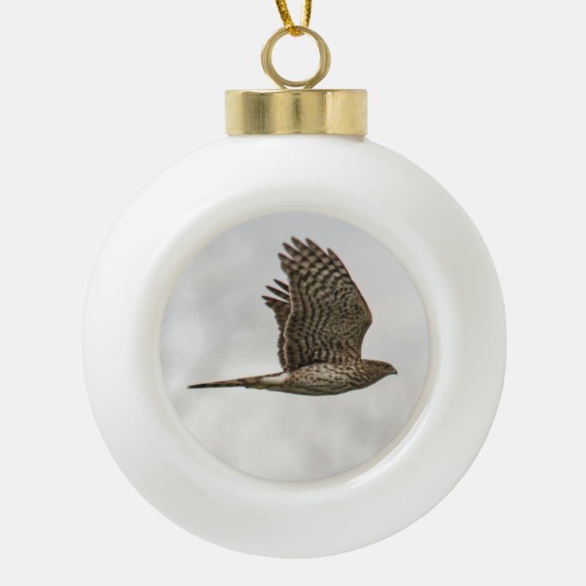 Cooper's Hawk Ceramic Ball Christmas Ornament (Front)