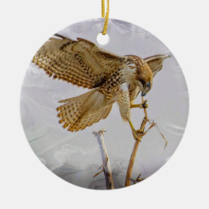 Coopers Hawk Ceramic Ornament