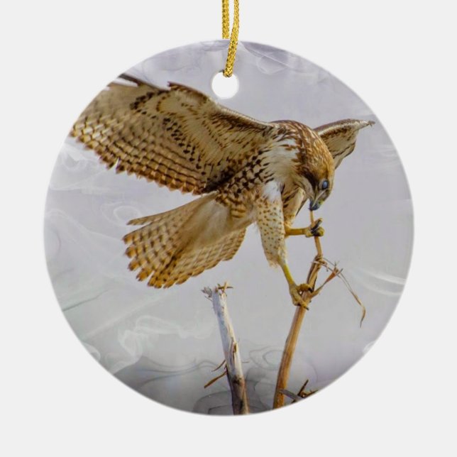 Coopers Hawk Ceramic Ornament (Front)