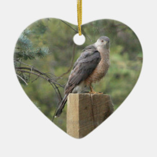 Cooper's Hawk Ceramic Tree Decoration