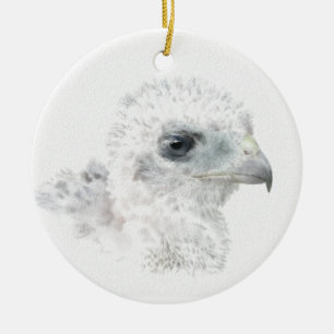 Coopers Hawk Chick Ceramic Ornament