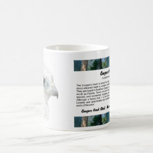 Coopers Hawk Chick Coffee Mug