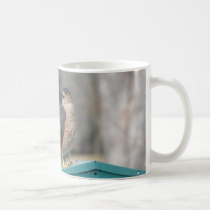Coopers Hawk Coffee Mug