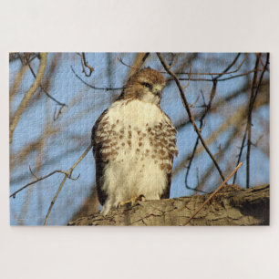 Cooper's Hawk Jigsaw Puzzle