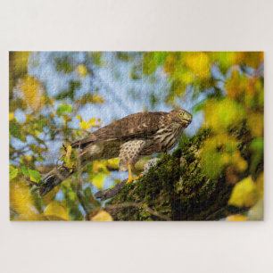 Cooper's Hawk Jigsaw Puzzle