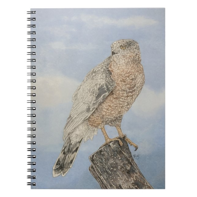 Coopers Hawk Notebook (Front)
