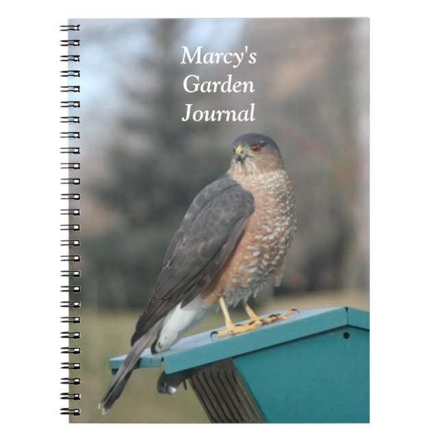 Coopers Hawk Notebook (Front)