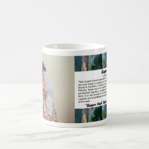 Coopers Hawk Portrait Coffee Mug