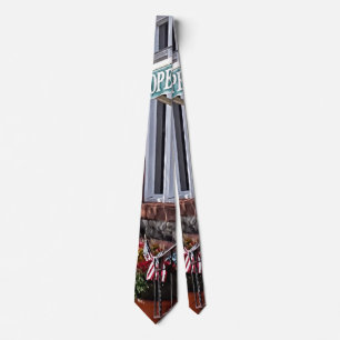Cooperstown NY - Main Street Near Hoffman Lane Tie