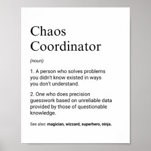 Coordinators and Supervisors Funny Work Definition Poster