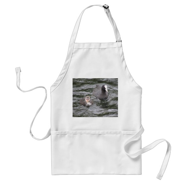 Coot and Chick Apron (Front)