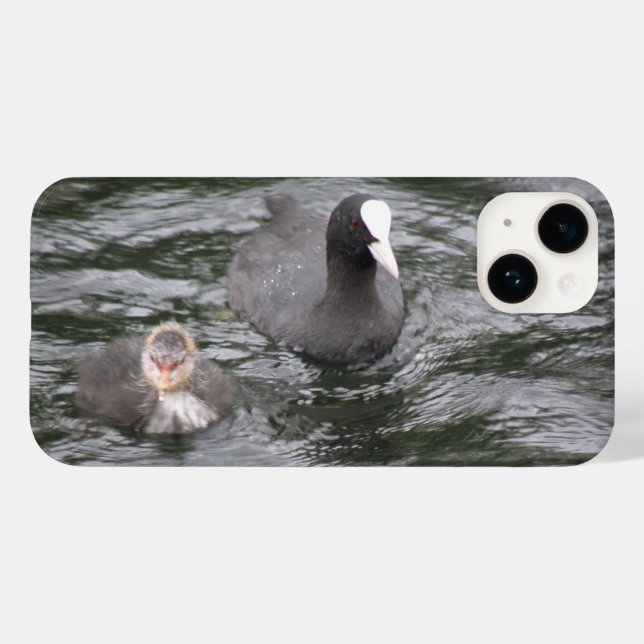 Coot and Chick Case-Mate iPhone Case (Back (Horizontal))