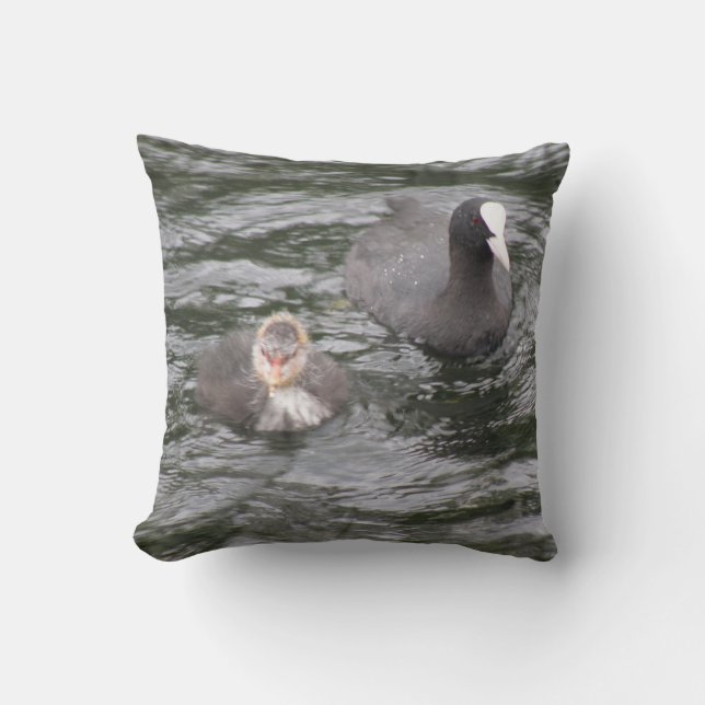 Coot and Chick Pillow (Front)