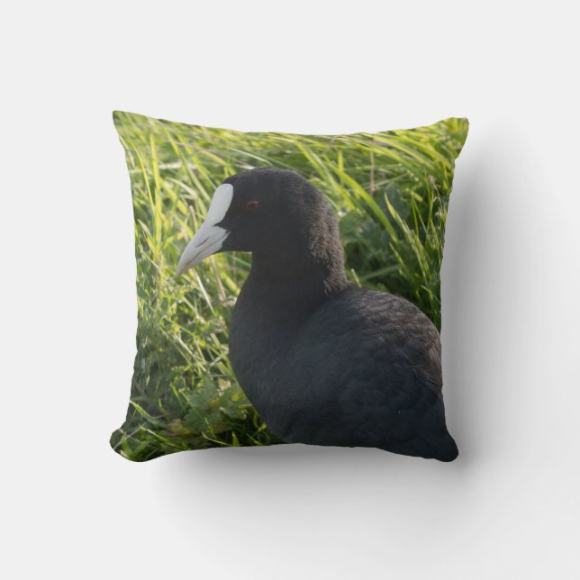 Coot Cushion (Front)