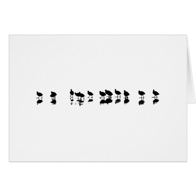 Coot Design - Black on White (Front Horizontal)