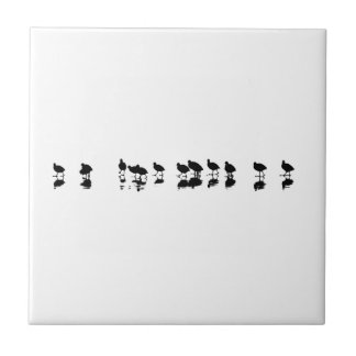 Coot Design - Black on White Ceramic Tile