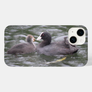 Coot Feeding Hungry Chick Case-Mate iPhone 14 Case