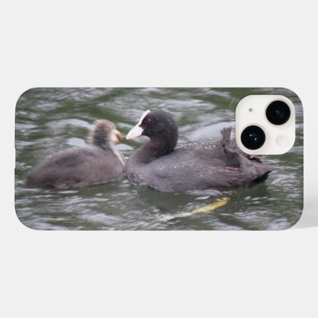 Coot Feeding Hungry Chick Case-Mate iPhone Case (Back (Horizontal))