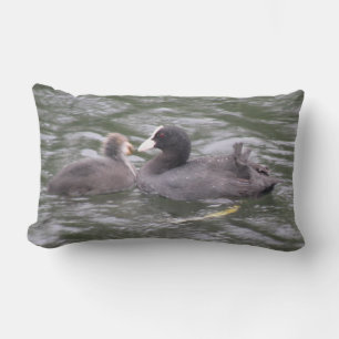 Coot Feeding Hungry Chick Pillow